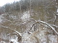 Winter storm6.JPG