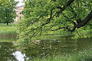 Alexander Park 1.JPG
