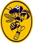 Logo Vologda Chevakaty.gif