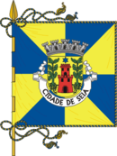 Флаг