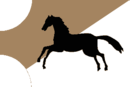 Tunis hafsid flag.png