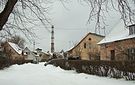 01grigiskes2011.jpg