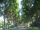 Gateway Avenue.JPG