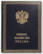 дождь