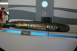 Amur 950.jpg