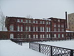 Arkhangelsk.Alviz.2.JPG