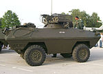 BOV POLO M 83.jpg