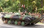 BWP-1 Warsaw 2007.JPG