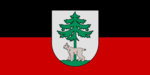Флаг