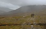 Bangor Way County Mayo.jpg