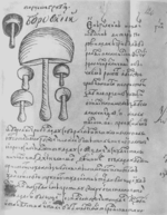 Boletus Lechebnik.png