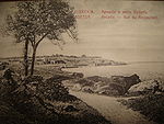 CP Odessa Arcadia C1900 4.JPG