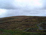 Ceide Fields Neolithic Site.JPG