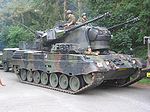 Cheetah PRTL.jpg