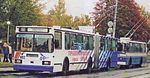 First 213.jpg