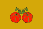 Флаг