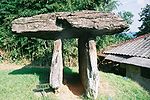 Gochang Dolmen Sites - 3.JPG