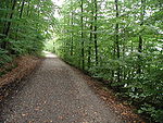 Heider-Bergsee-006.JPG