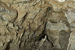 Jewel Cave 2.jpg