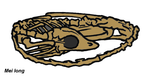 Mei long fossil sketch 01.png
