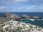 Neckerisland.jpg