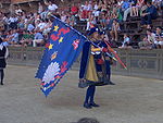 Palio - Nicchio.JPG