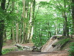 Redłowo - 004.JPG
