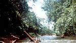 Rio platano.jpg