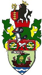 Runcorn Linnets Crest Large - 120dpi.jpg