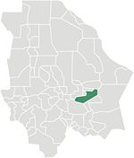 Saucillo en Chihuahua.jpg