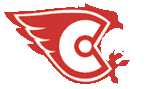 Sokol Novocheboksarsk.gif