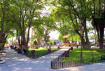 Tecate-parque.png