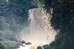 Virunga 01.jpg