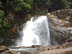 Waterfall in Sinharaja.JPG