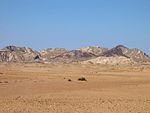 Welwitschia Trail.JPG