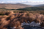 Wicklow mountains.jpg