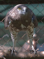 Zoo 8.jpg