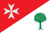 Флаг