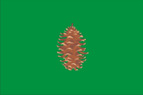 Флаг