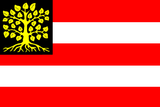 Флаг