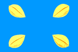 Флаг