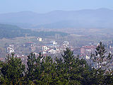 P1030317.JPG
