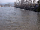 P1030375.JPG