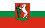 Флаг