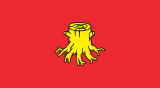 Флаг