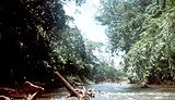 Rio platano.jpg