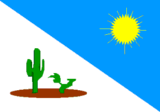 Флаг