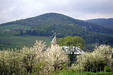 Slovakia Cervenica 5.JPG