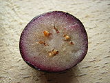 Vaccinium fruit.JPG
