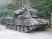 Cheetah PRTL.jpg